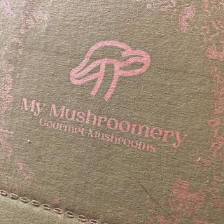So a while back I got a grow your own mushrooms kit from @norfolk.mushroomery. I’ll be honest, I was stupidly excited about doing this, and I wasn’t disappointed. 

Once the kit is opened and soaked overnight it takes about a week before anything starts happening, but when it does it happens fast. Every time I checked on them the mushrooms looked bigger. Yesterday they got to the point where they were almost falling off on their own, so I harvested them. And this evening I made a vegan chicken and homegrown mushroom stir fry. 

I definitely recommend getting a kit for yourself. It was surprisingly good fun to watch them grow and the end result was delicious. 

#mushrooms #mushroom #growyourownfood #growyourownmushrooms #norfolkmushroomery #veganfood #stirfry #oystermushrooms #yummy